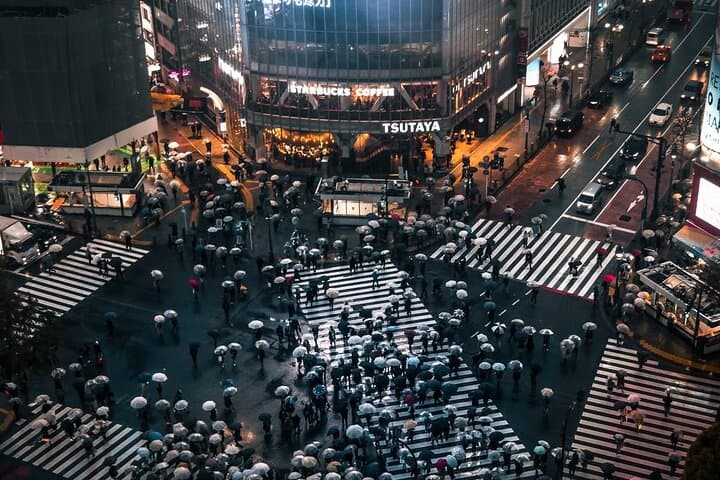Tokyo City 1-Day Private Tour with Bilingual Driver — photo 2