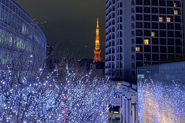 Best of Tokyo Private Custom Tour: Tsukiji, Asakusa & Meiji-jingu — photo 10