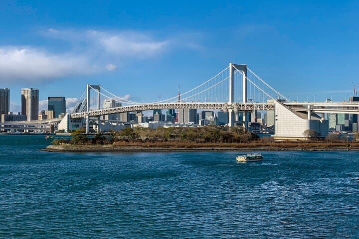 Full-Day Private Tour to Discover The Best of Tokyo — photo 3