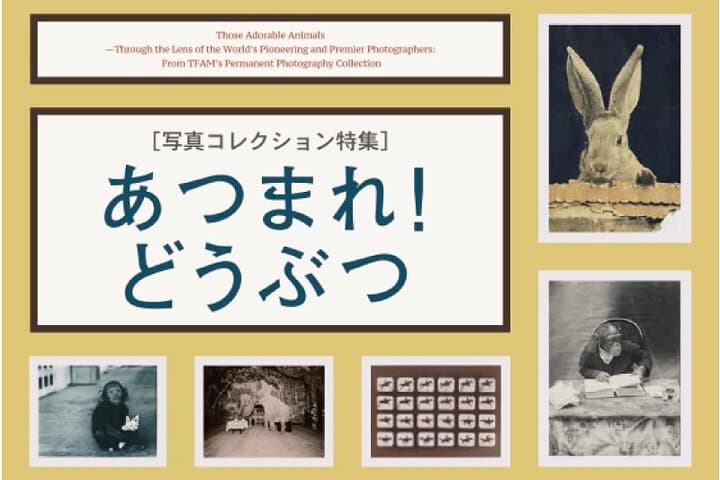 Tokyo Fuji Art Museum Admission Ticket + Special Exhibition (when being held) — photo 8