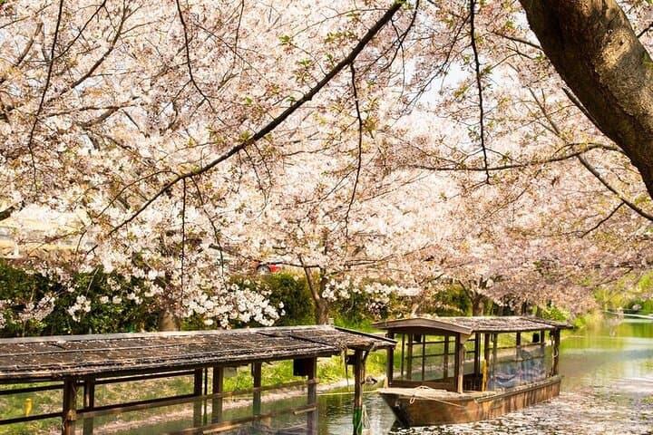 Hakone and Mt. Fuji Day Trip with Private Vehicle — photo 11