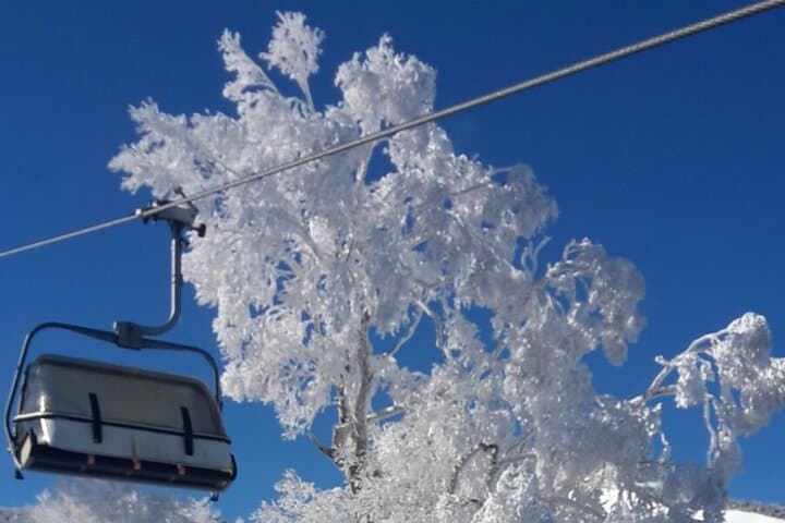 Full Day Ski Lesson (6 hours) in Yuzawa, Japan — photo 4