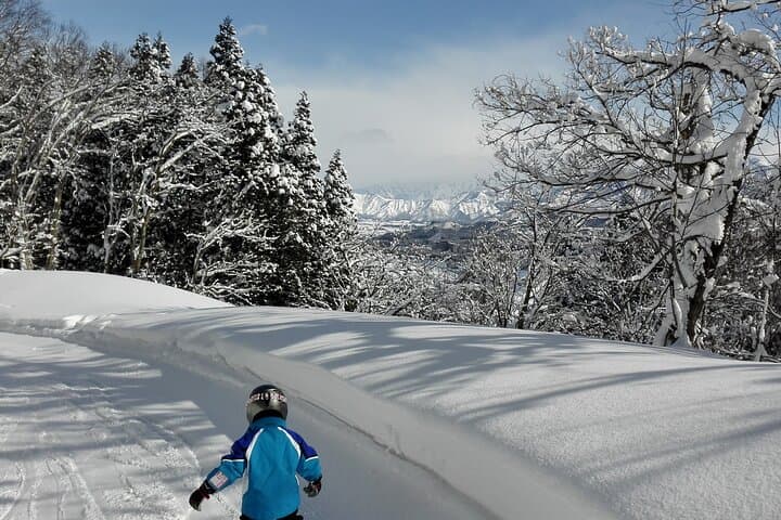 Full Day Ski Lesson (6 hours) in Yuzawa, Japan — photo 6