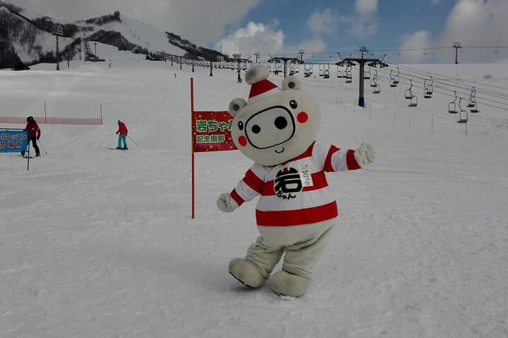 Full Day Ski Lesson (6 hours) in Yuzawa, Japan — photo 7