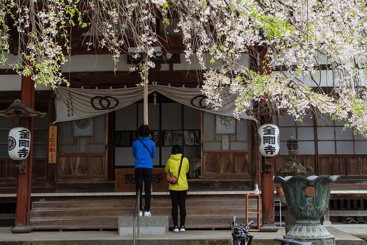 Akagi Great countryside e-bike tour — photo 2