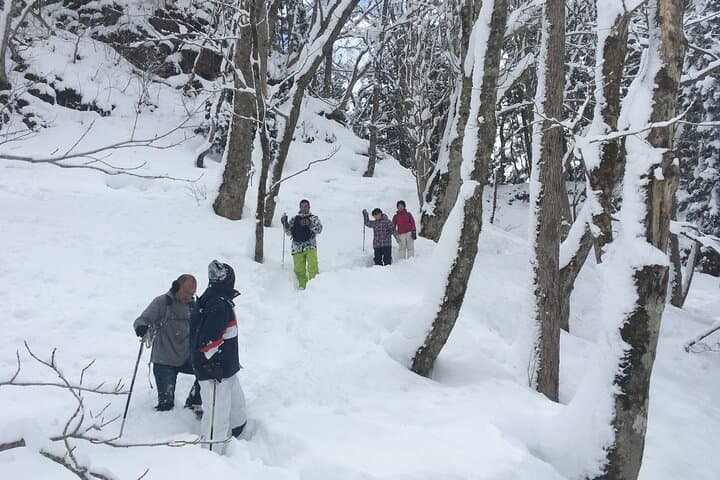 Icicle Trekking Experience in Nishiwaga Town Iwate Prefecture — photo 2