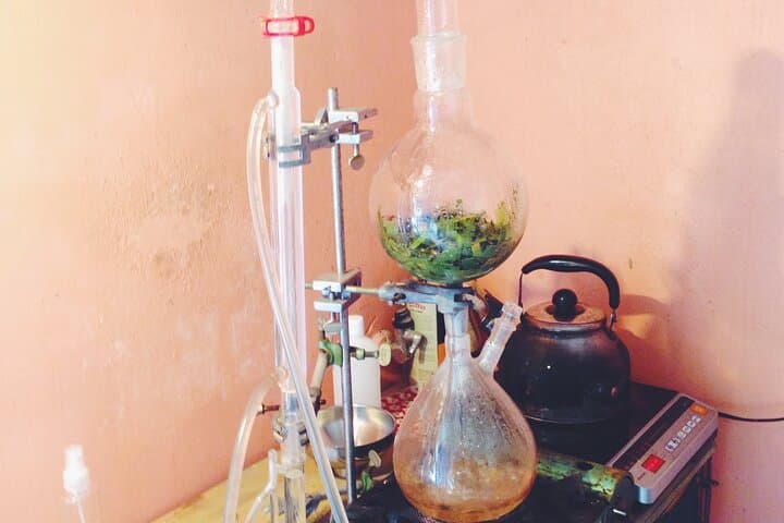 Distillation of Okinawa Herb Essential Oil and Herbal Water — photo 8