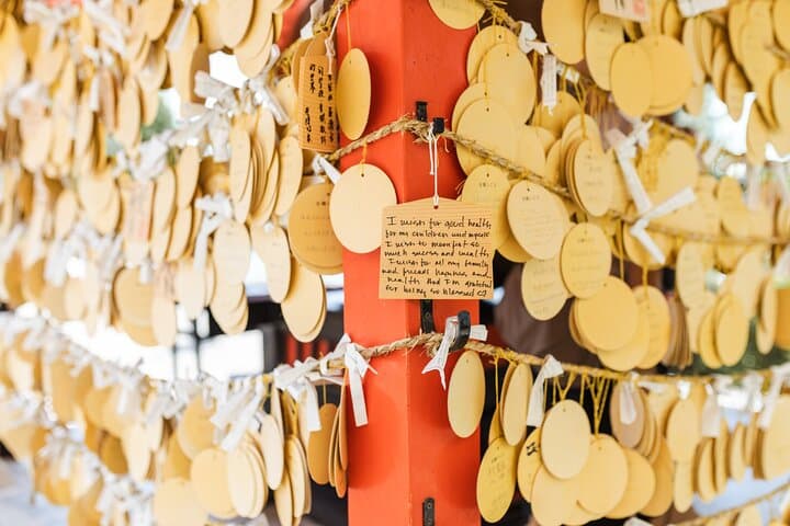 Kyoto Private & Personalized Half-Day Walking Tour with a Local — photo 12