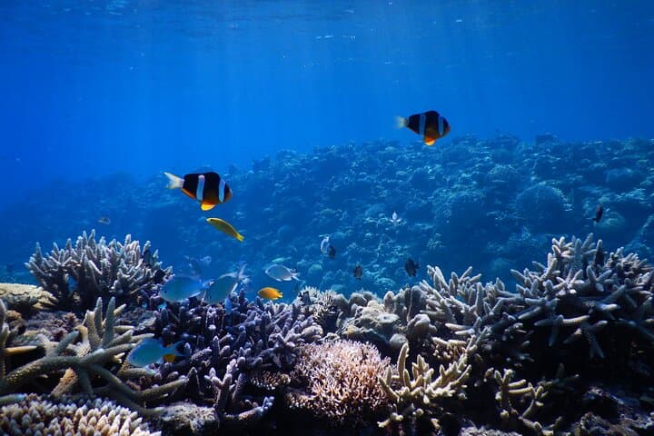 1day kayak tour in Kerama Islands and Zamami Island — photo 13