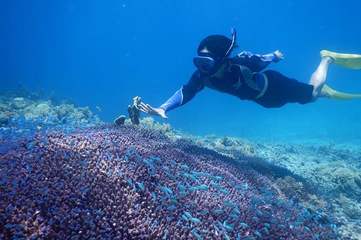 1day kayak tour in Kerama Islands and Zamami Island — photo 20