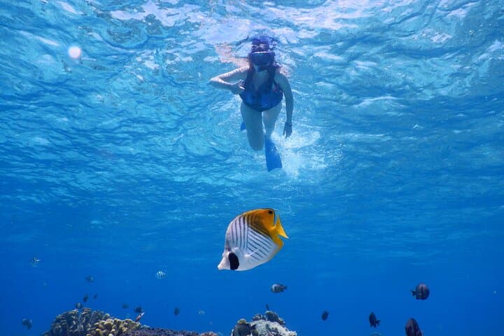 1day kayak tour in Kerama Islands and Zamami Island — photo 4