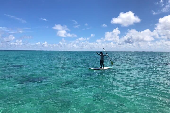 Private SUP Cruising Experience in Ishigaki Island — photo 12