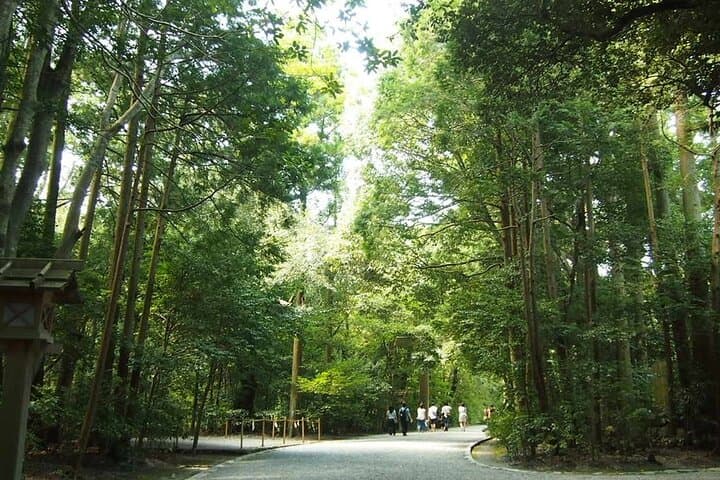 Ise Jingu 1-Day Small-Group Tour from Nagoya — photo 5