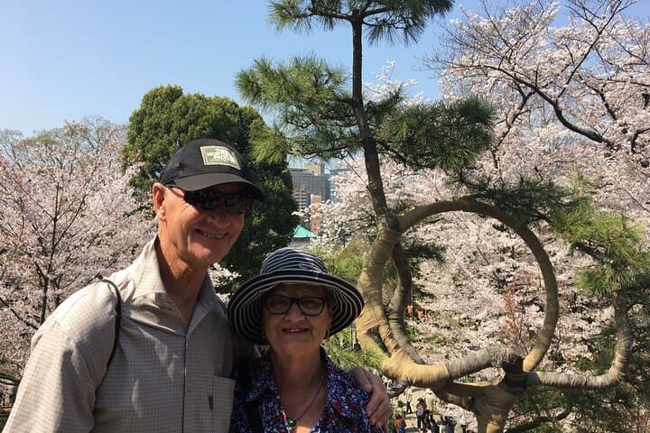 Tokyo Private Cherry Blossom Tour with a Local – Picnic Included — photo 2