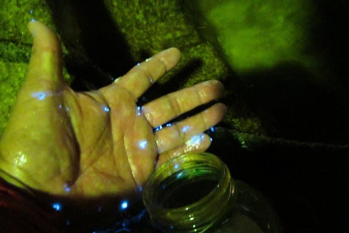 Night Kayak Tour Relax Under the Natural Glow of Sea Fireflies — photo 2