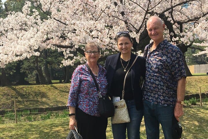 Tokyo Private Cherry Blossom Tour with a Local – Picnic Included — photo 1