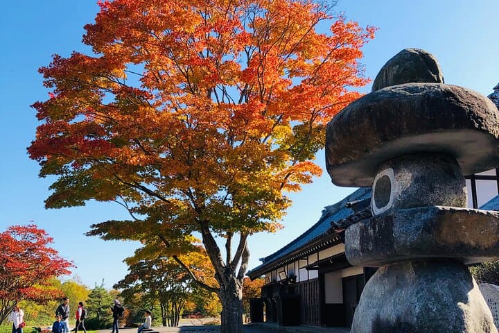 1-Day Pass for Noboribetsu Date Jidaimura — photo 8