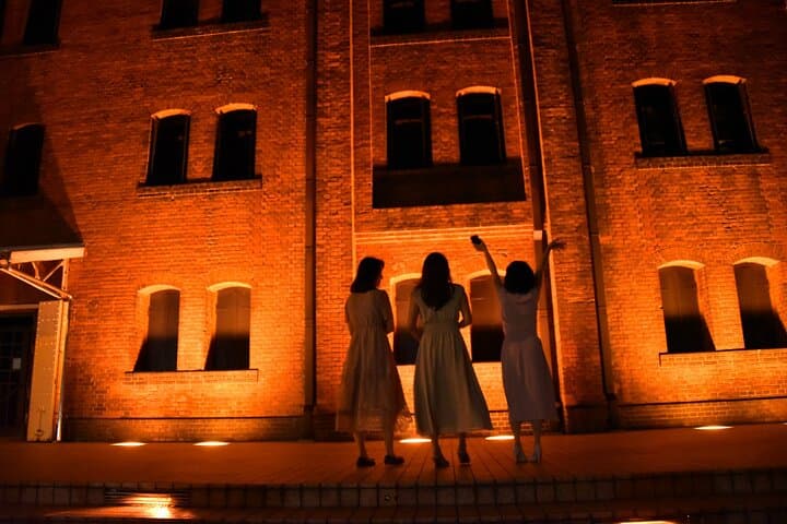 Private Tokyo Night Driver-Guided Tour — photo 13