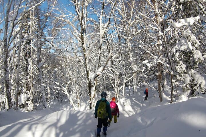 Frozen fall trekking — photo 5
