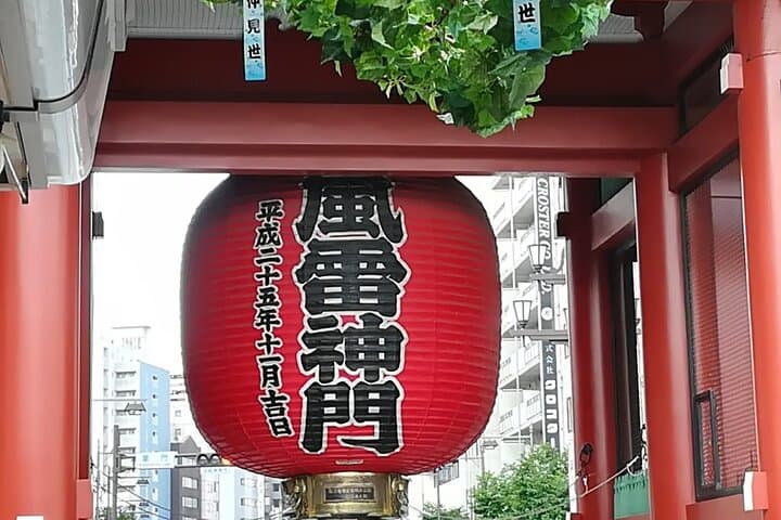Cherry Blossom Highlights, Hamarikyu, Asakusa and Meiji Shrine — photo 10