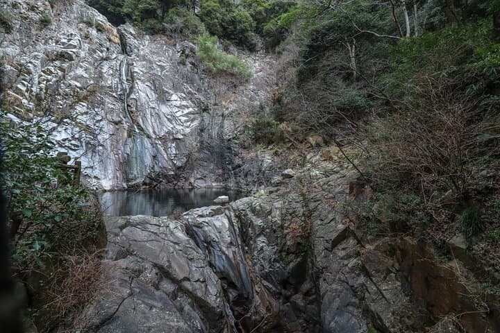 Private Tour - Tracing the Quaintness Nature and Traditional Crafts in Kobe — photo 10