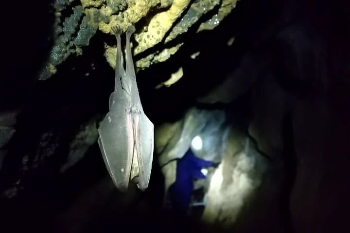 Private Ninja Training in a Cave in Hidaka — photo 9