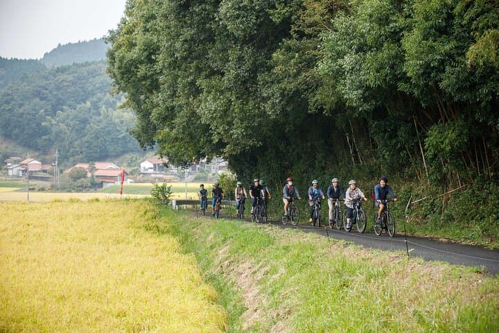 Guided Cycling Tour in Hagi with Sake Brewery Visit — photo 15