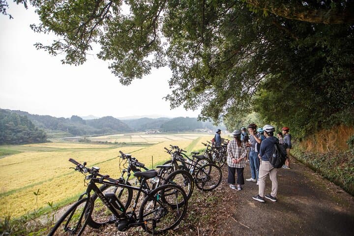 Guided Cycling Tour in Hagi with Sake Brewery Visit — photo 3