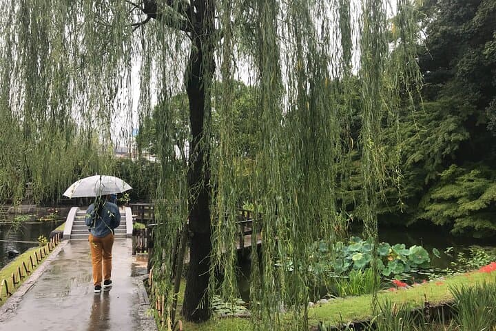 Guided Half-day Tour(AM) to Nagoya Castle & Tokugawa Museum and Garden — photo 10