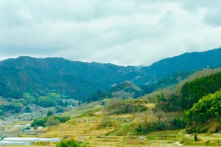 Full-Day Private Guided Tour to Asuka from Kashihara — photo 2