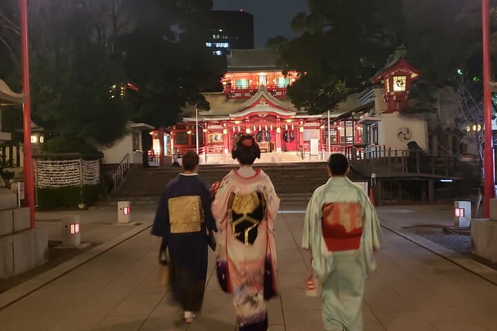 Drinks with Geisha — photo 4