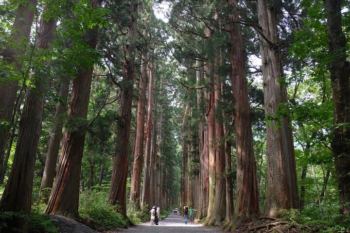 1-Day Togakushi Tour: Soba making, Ninja Town, and Hidden Shrines — photo 2