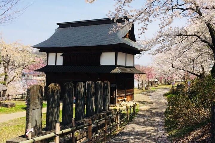 Nagano Spring: 1-Day Cherry Blossoms & Snow Monkeys Guided Tour — photo 12