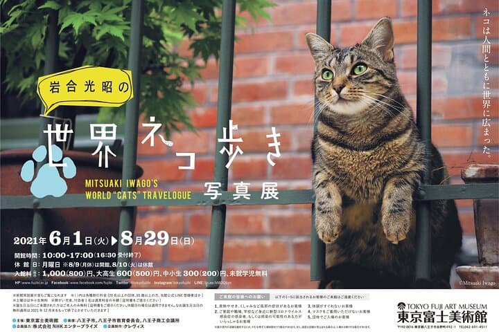 Tokyo Fuji Art Museum Admission Ticket + Special Exhibition (when being held) — photo 5