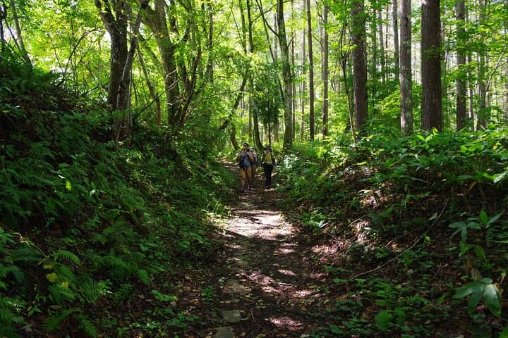 Full Day North Nagano Hiking Experience — photo 8