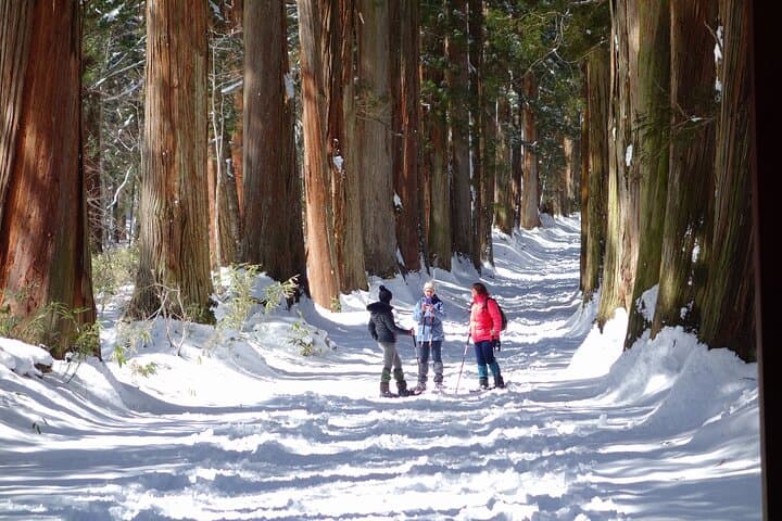 Nagano Winter Special Tour "Snow Monkey and Snowshoe Hiking"!! — photo 5