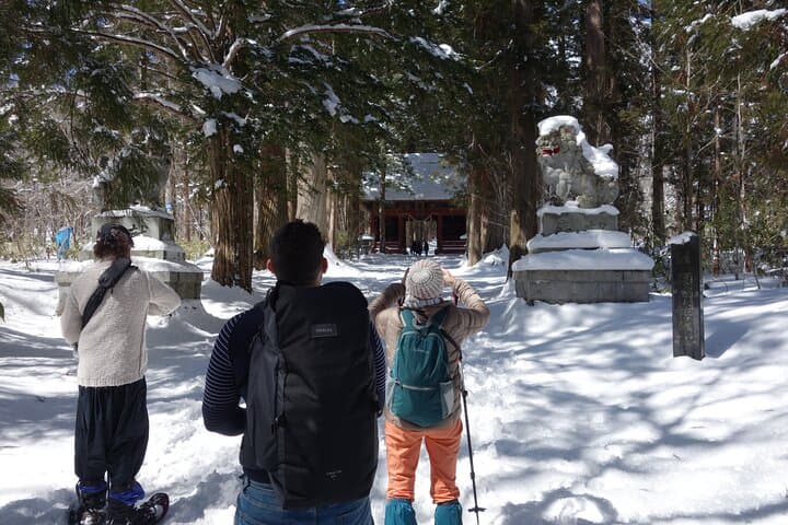 Nagano Snowshoe Hiking Tour — photo 8