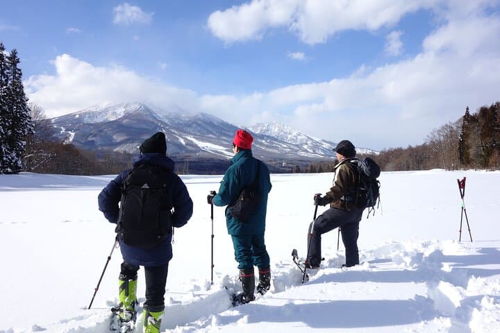 Nagano Snowshoe Hiking Tour — photo 6