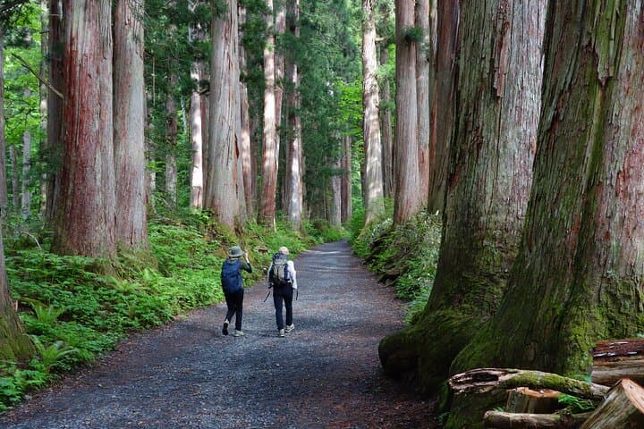 Full Day North Nagano Hiking Experience — photo 5