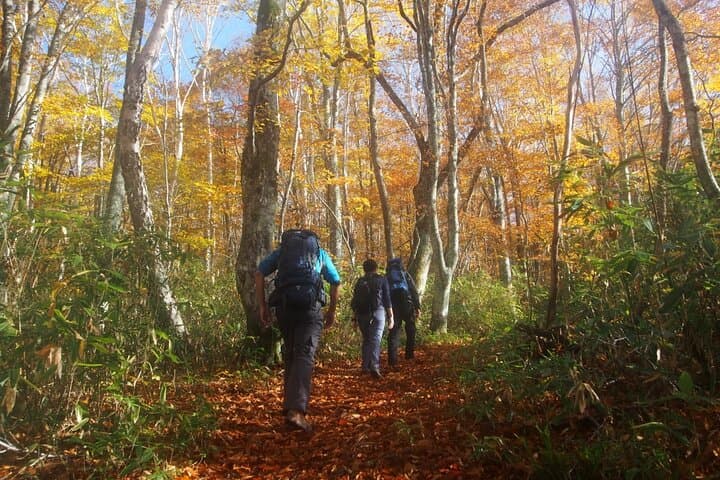 Full Day North Nagano Hiking Experience — photo 11