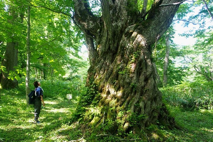 Full Day North Nagano Hiking Experience — photo 3
