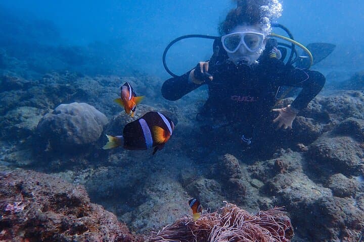 Discover Scuba Diving in Yakushima Standard Course 2 Dives — photo 2