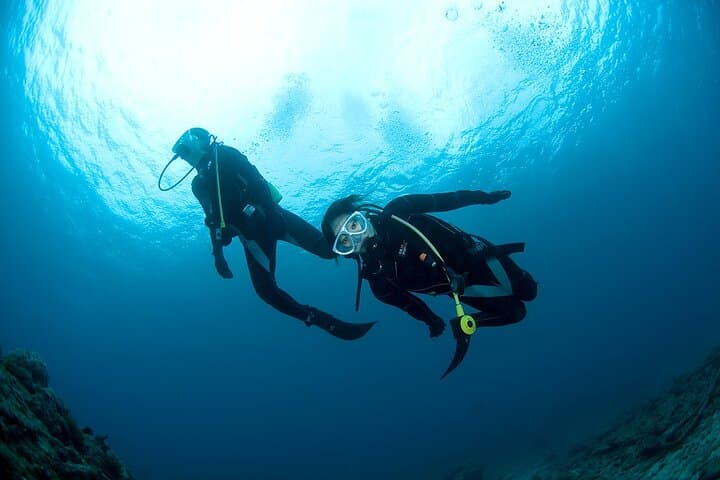 Discover Scuba Diving in Yakushima Standard Course 2 Dives — photo 5