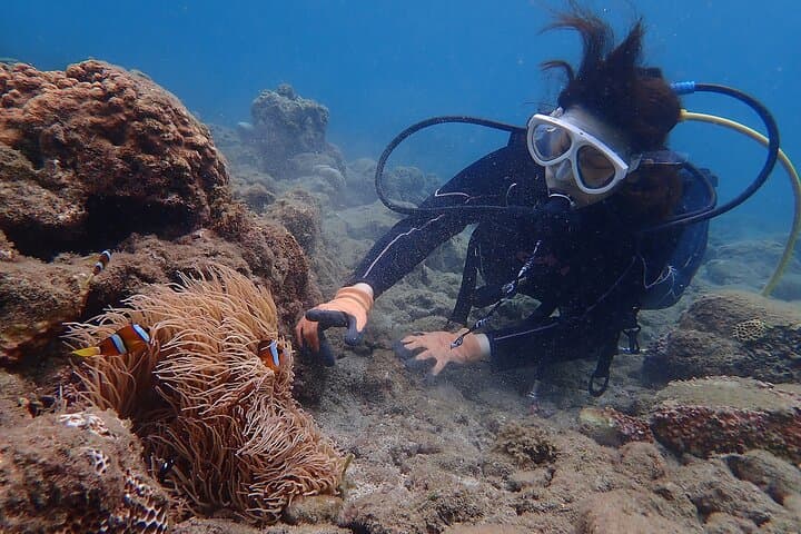 1 Dive Standard Course Scuba Diving in Yakushima — photo 2