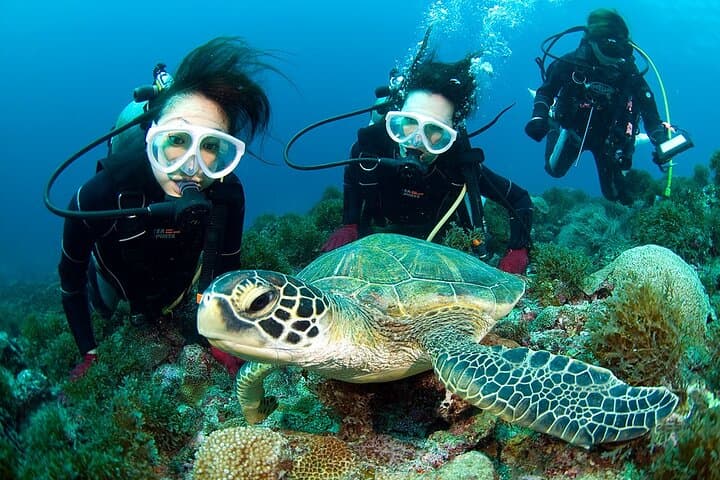 Discover Scuba Diving in Yakushima Standard Course 2 Dives — photo 4