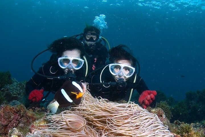 Discover Scuba Diving in Yakushima Standard Course 2 Dives — photo 6