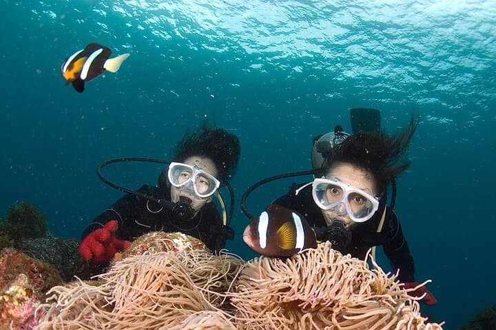 Discover Scuba Diving in Yakushima Standard Course 2 Dives — photo 9