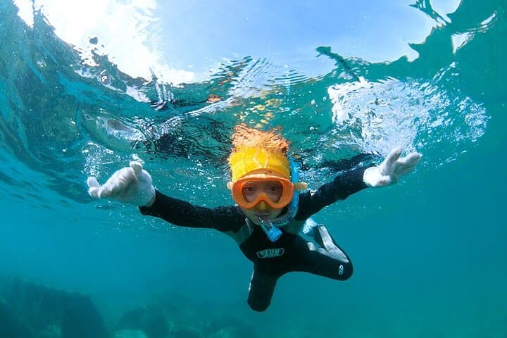 Snorkeling Tour to Swim with Sea Turtles at Yakushima Island — photo 14