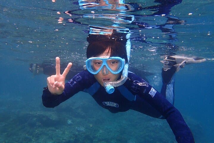 Snorkeling Tour to Swim with Sea Turtles at Yakushima Island — photo 17