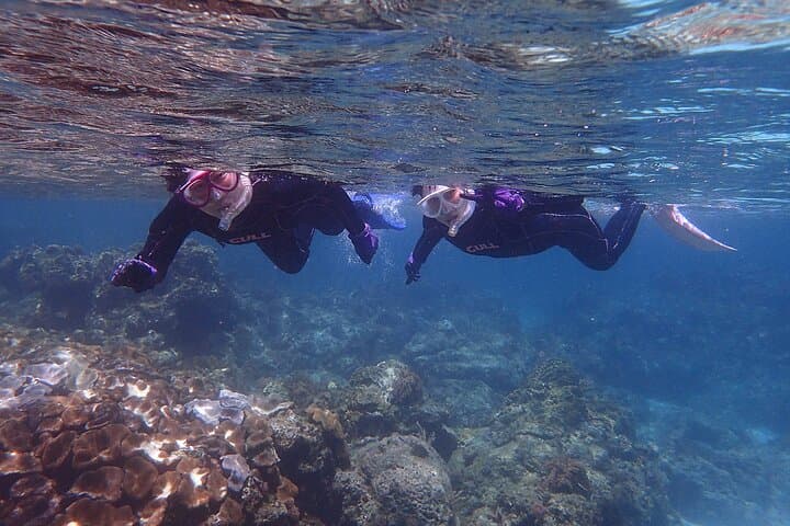 Snorkeling Tour to Swim with Sea Turtles at Yakushima Island — photo 19